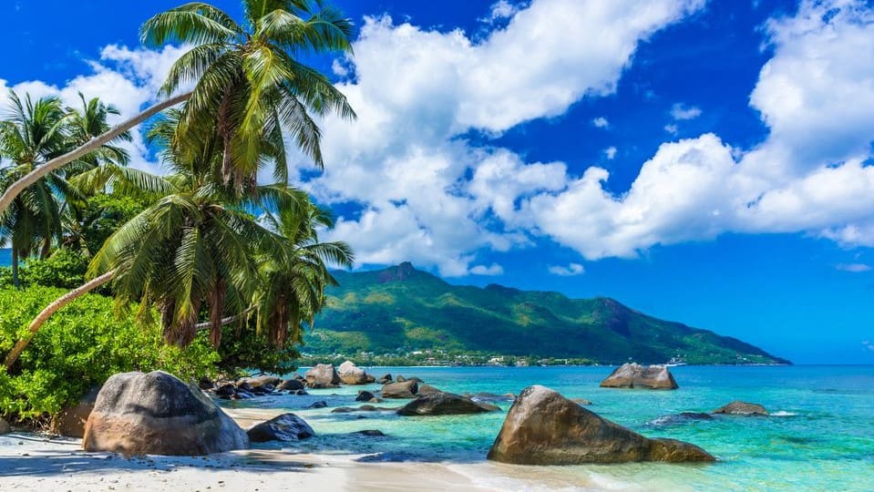About Seychelles IBC About Seychelles IBC